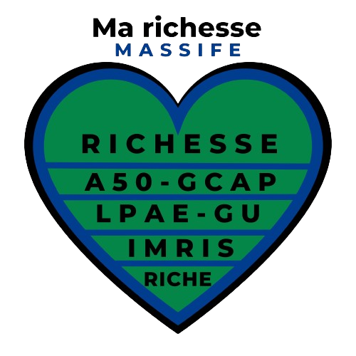 MA RICHESSE MASSIVE